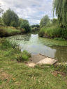 The Jubilee Fishery logo