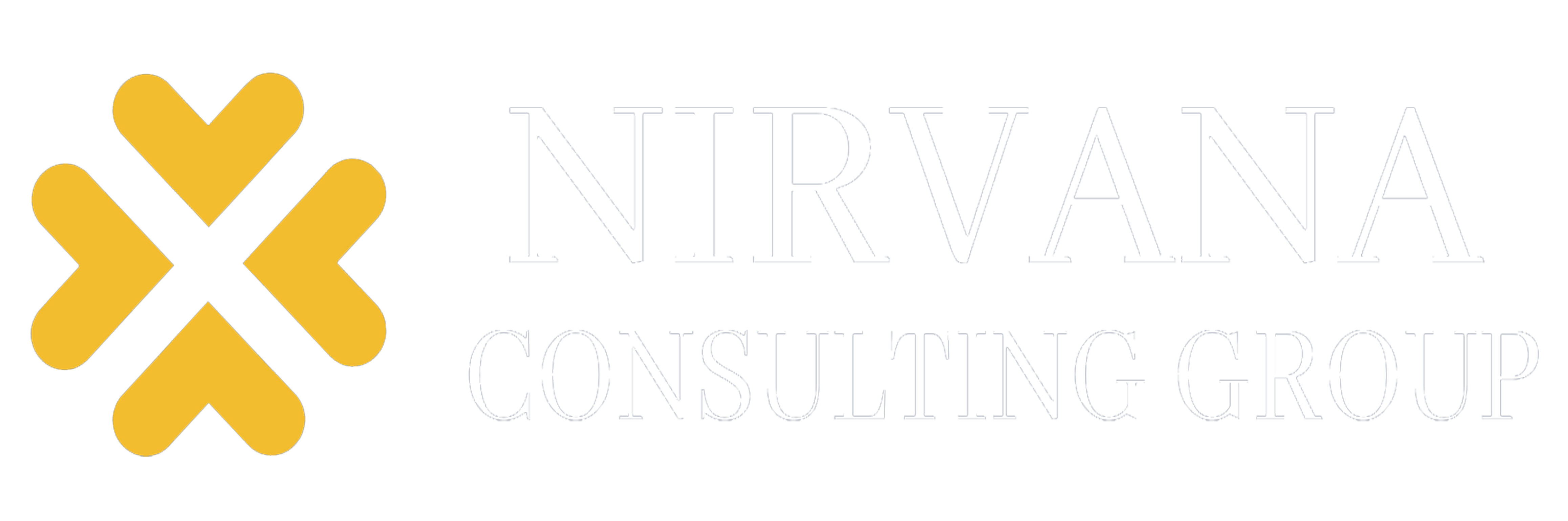 Nirvana Education International logo