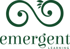 Emergent Learning