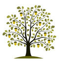 Acorn Psychology logo