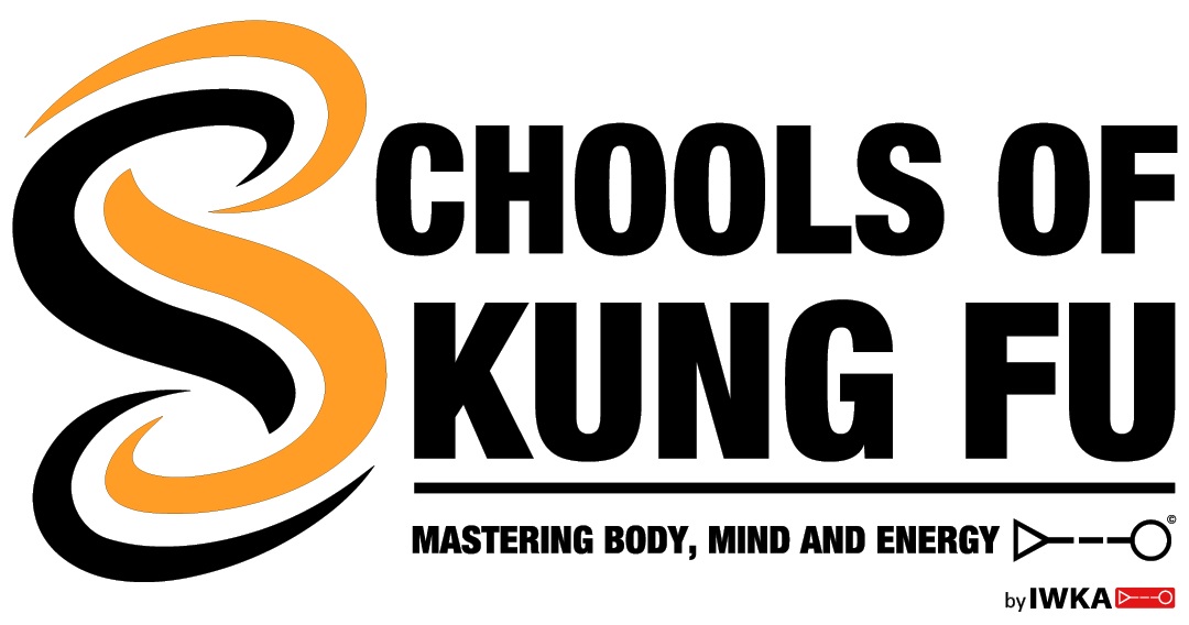 Adults Wing Chun Class