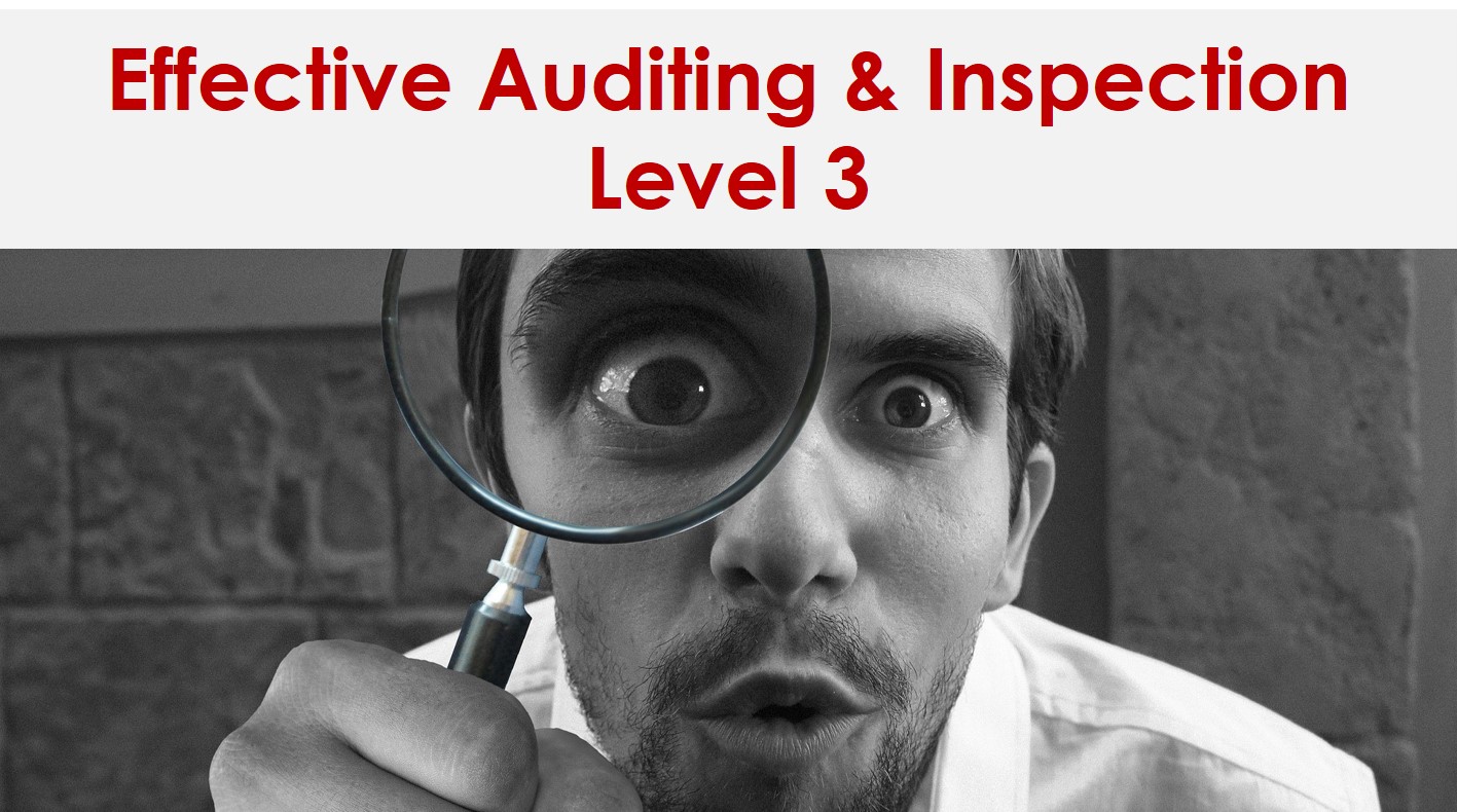 CPD Accredited Effective Auditing & Inspection Level 3 (1 day)