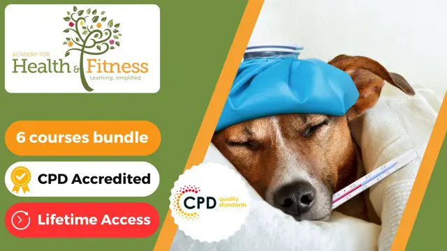 Pet First Aid Certificate - CPD Certified