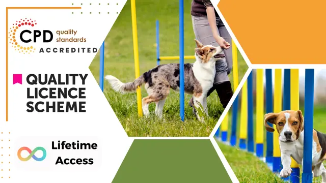 Dog Agility at QLS Level 4