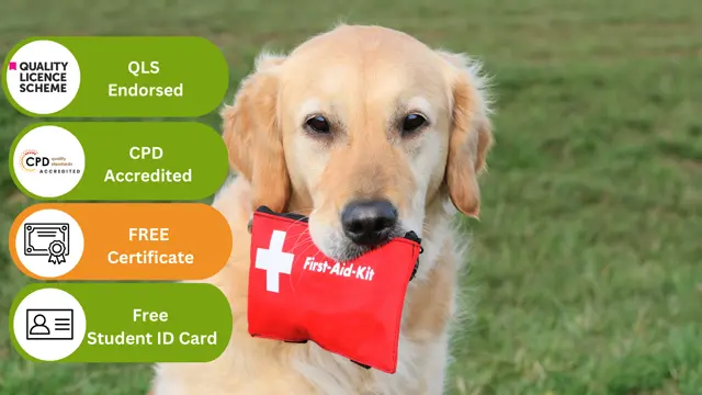 Pet First Aid at QLS Level 5