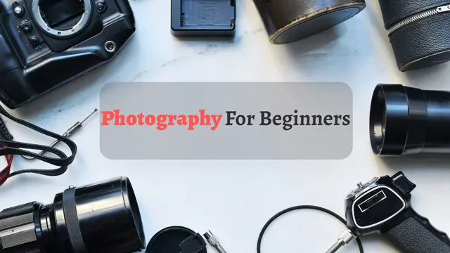 Photography for Beginners