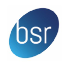 Bluestream Recruitment logo