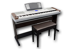 Professional piano and keyboard tuition