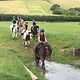 Vale Farm Riding School logo