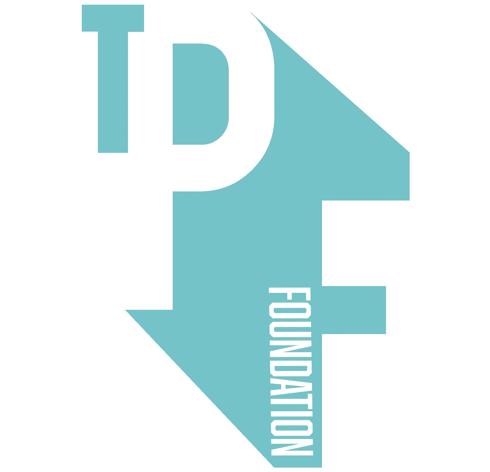 The Photography Foundation logo