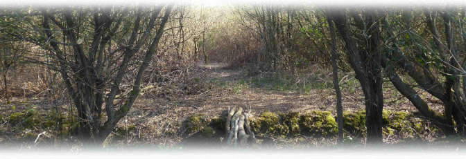 Oakdene Orchard logo