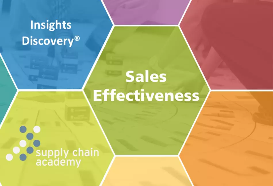 Insights Discovery® – Sales Effectiveness