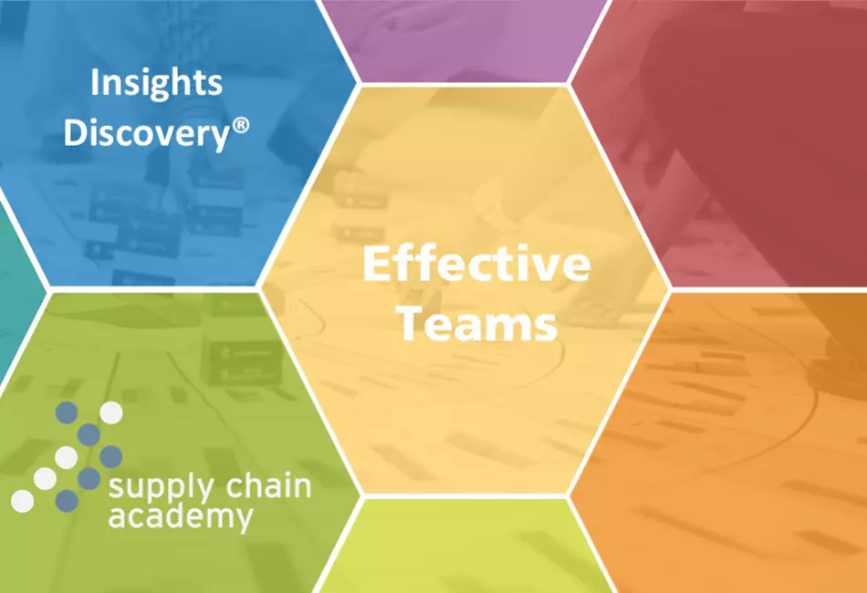 Insight Discovery® – Effective Teams