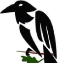 Jack Raven Bushcraft Ltd logo