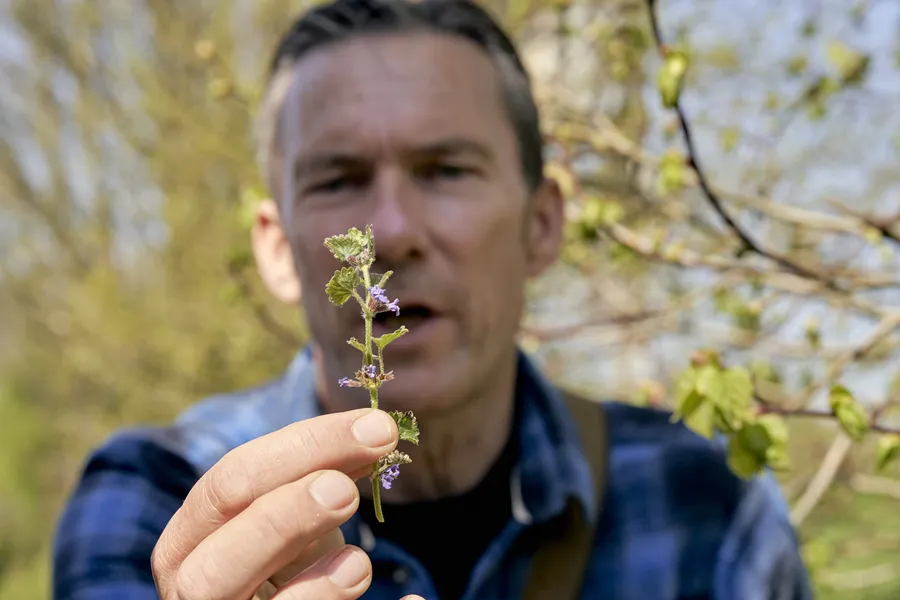 1 Day Foraging Course