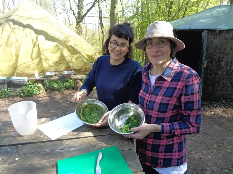 1 Day Foraging Course