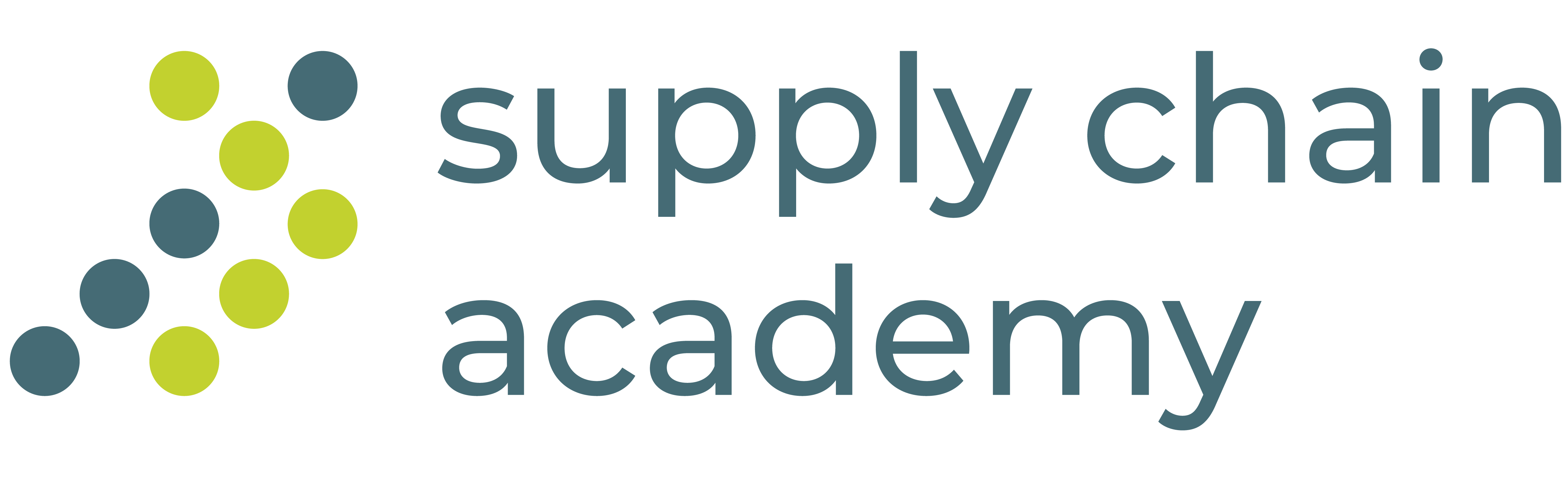 Supply Chain Academy