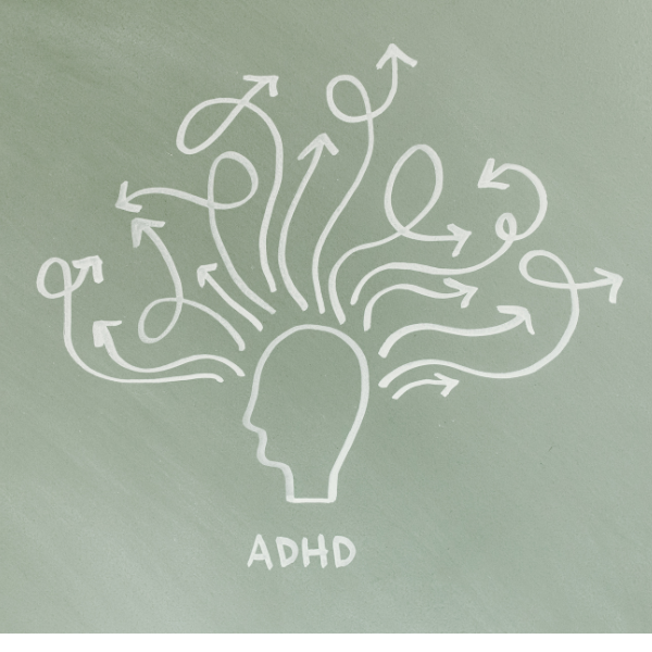 Introduction to ADHD in Adults for Educators