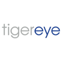 Tiger Eye [Tiger Eye Consulting Ltd] logo