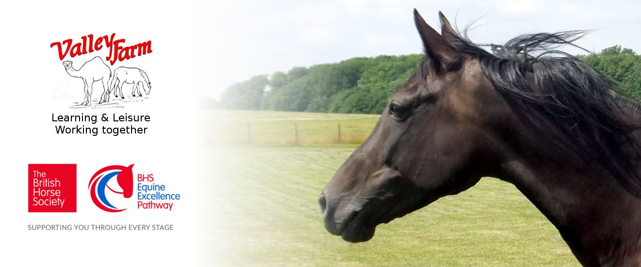 Valley Farm Equestrian Leisure