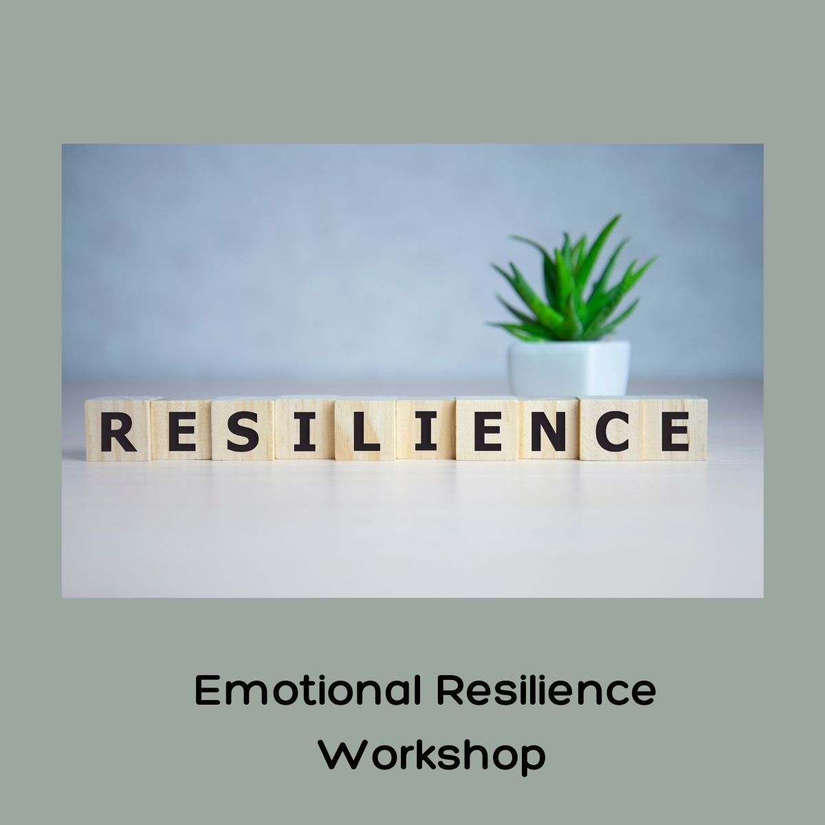 Introduction to Emotional Resilience 