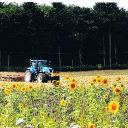 Park Farm Oakley logo