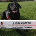 Paramount Dog Training Uk logo