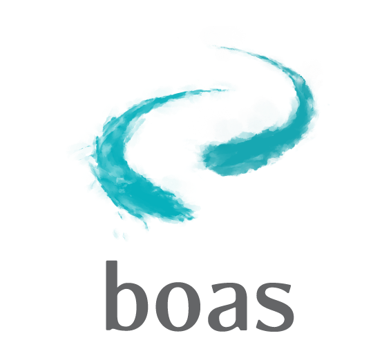 boas partners logo