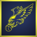 Goldhawks Basketball logo