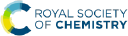 Rsc Cicag logo