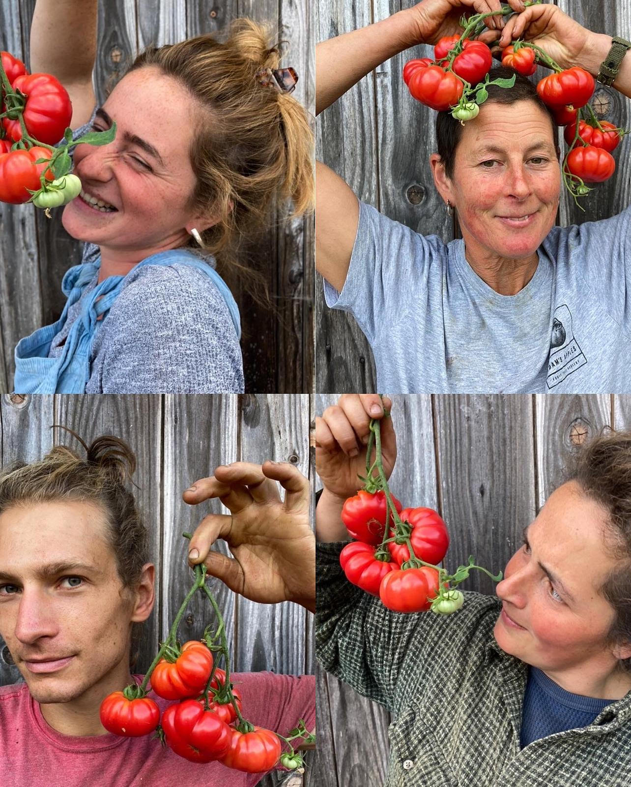 Springtail Farm Tomato Fest 2025