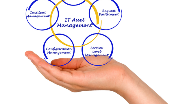 IT Asset Management