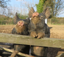 Smallholder Training @ South Yeo Farm West logo