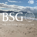 BSG Transformation Services logo