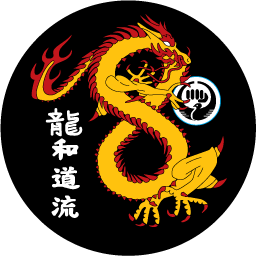 Patchway Dragon Tang Soo Do logo