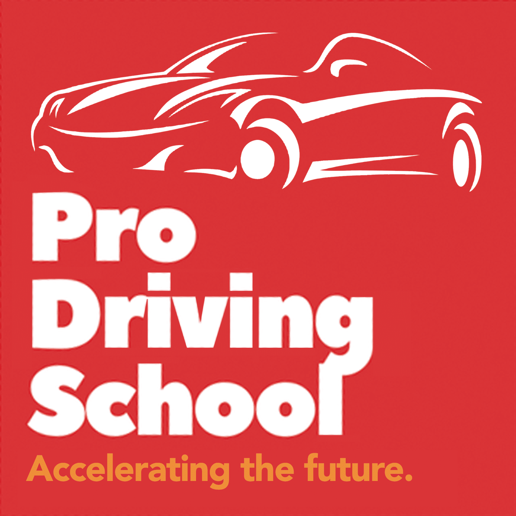 Pro Driving School logo