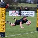 Kendal Hornets Rugby Club logo