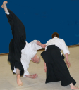 Marple Aikido logo