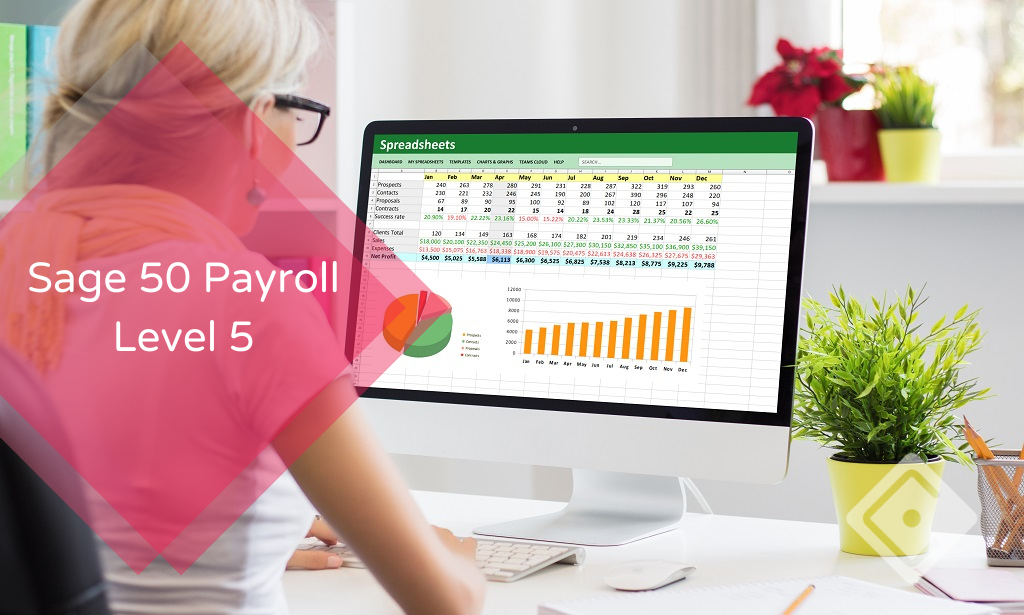 Sage 50 Payroll - Level 5