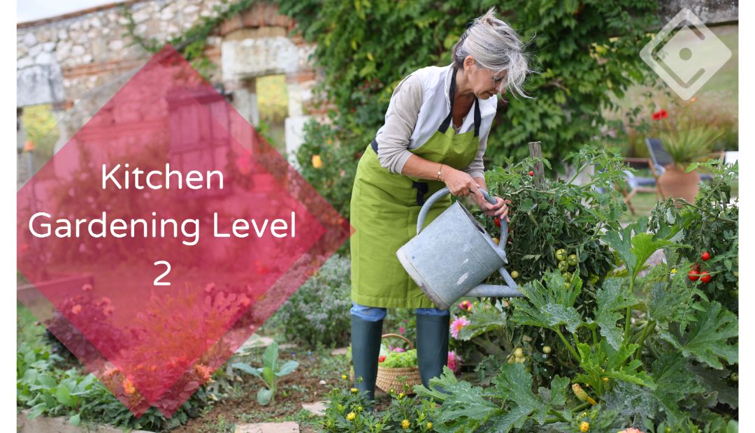 Kitchen Gardening Level 2