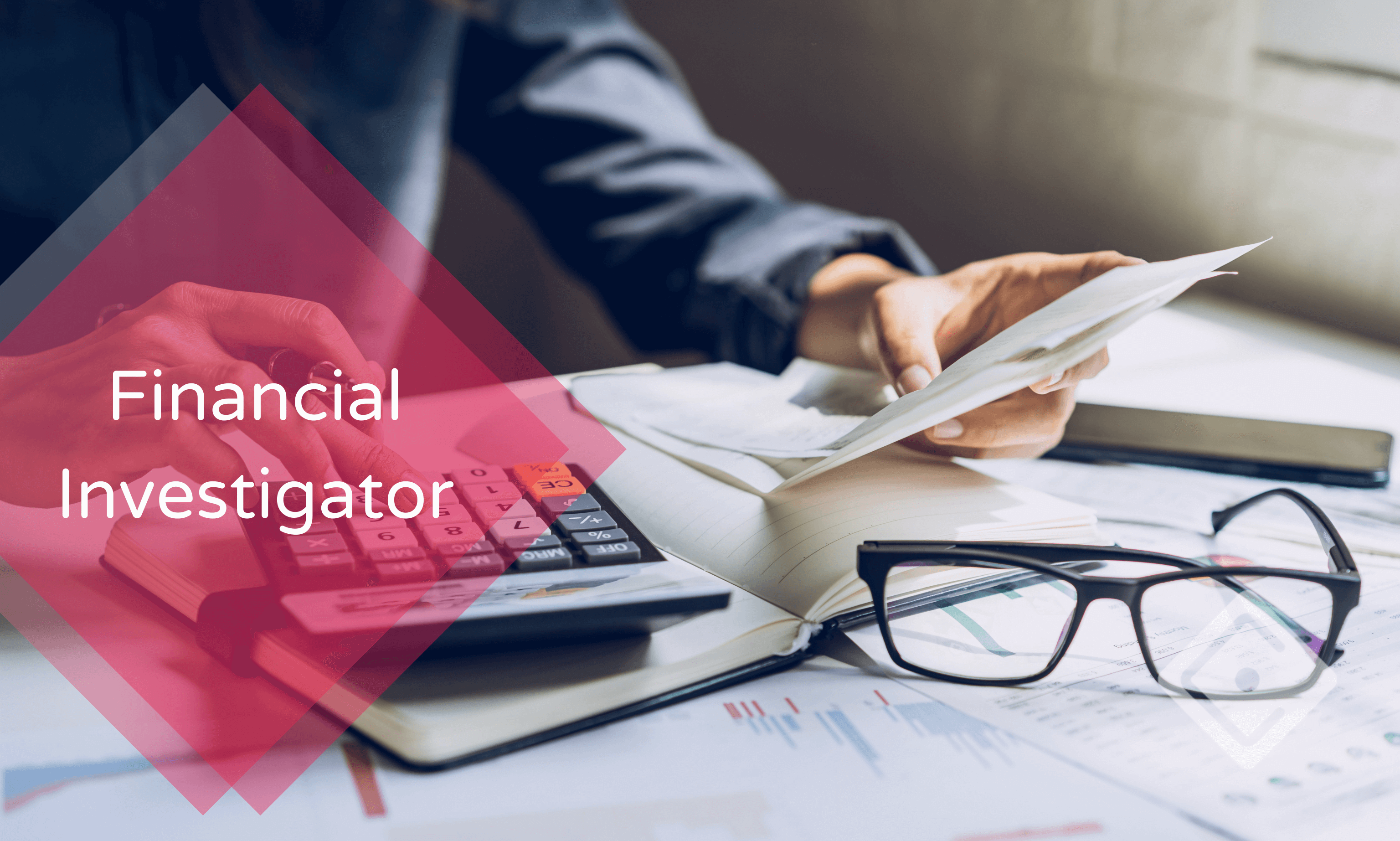 Financial Investigator