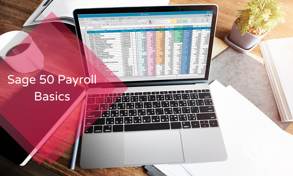 Sage 50 Payroll Basics