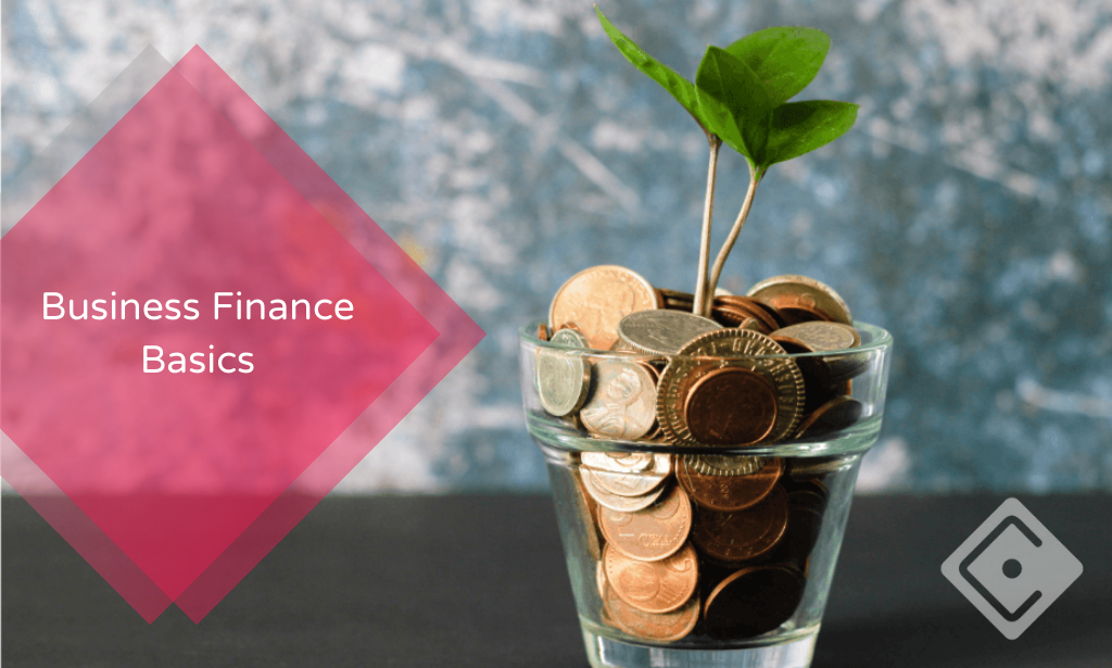 Business Finance Basics