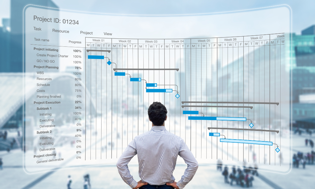 Project Management: PMBOK, PMI & Project Life Cycle