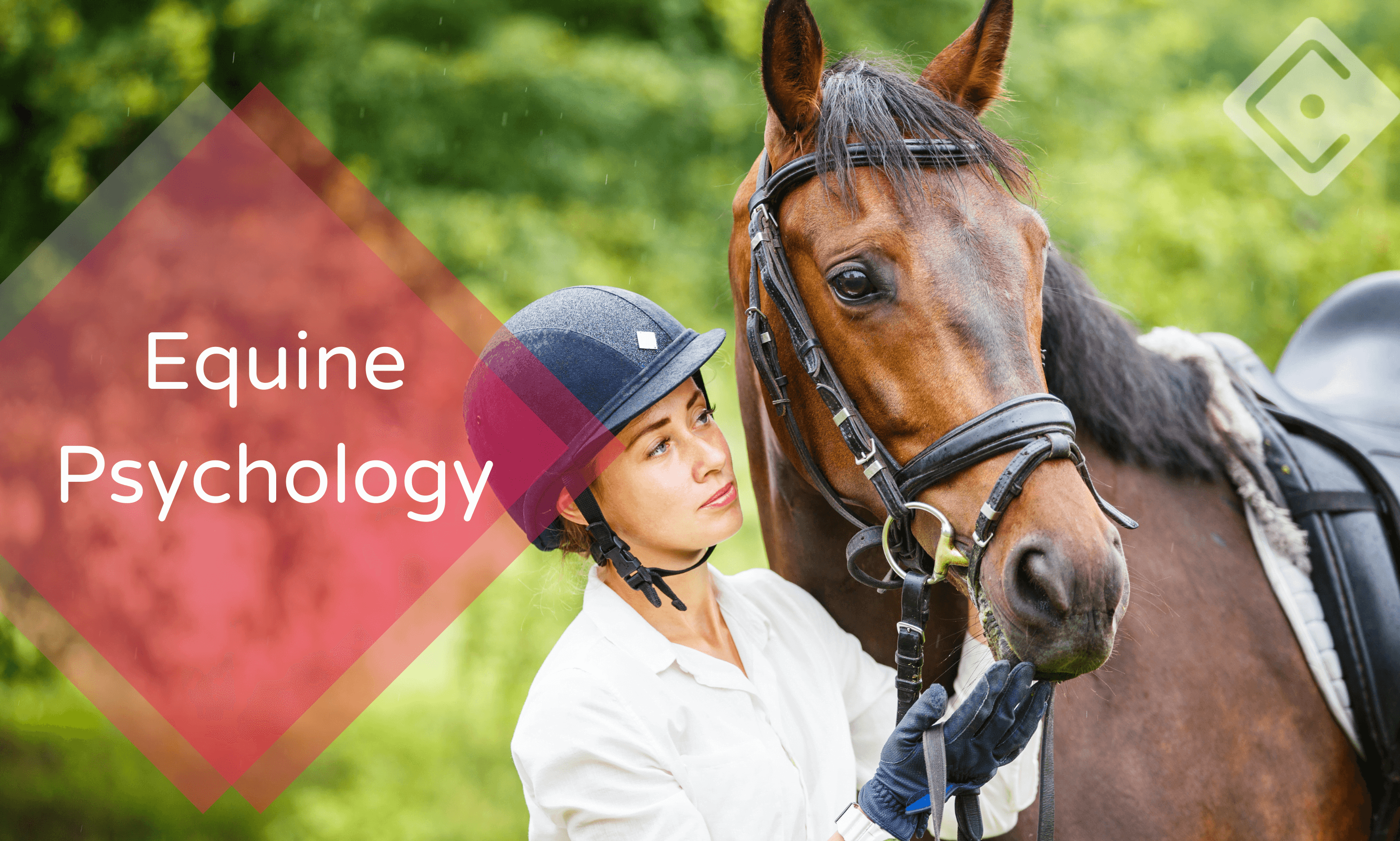 Equine Psychology