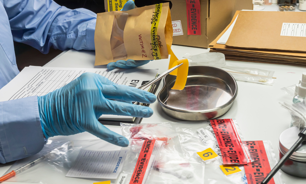 Private Investigator Crime Scene Analysis