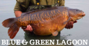 The Blue Lagoon (Angling Club) logo