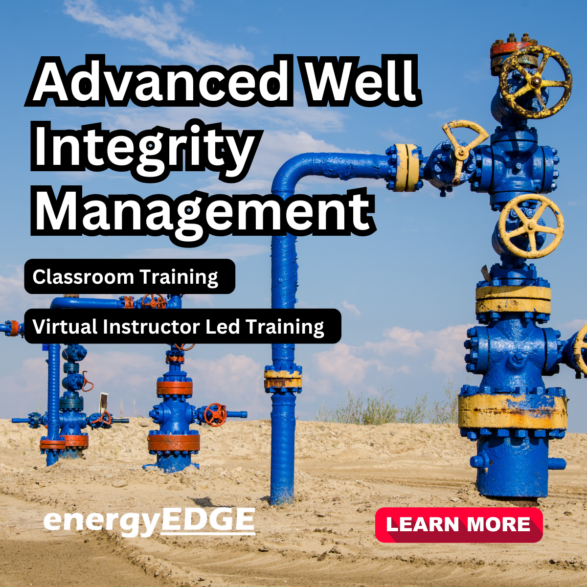 Advanced Well Integrity Management