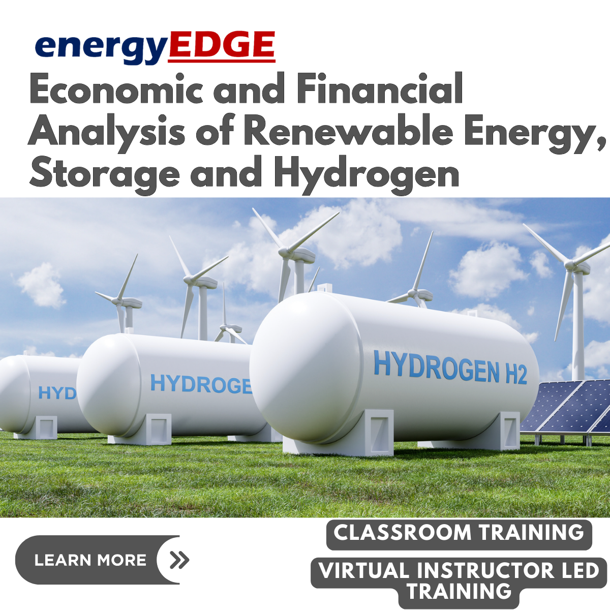 Economic and Financial Analysis of Renewable Energy, Storage and Hydrogen