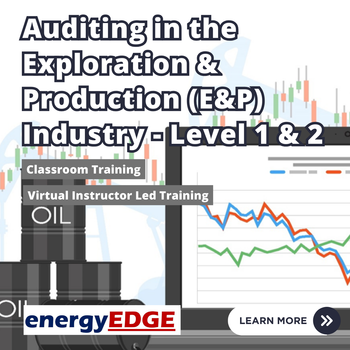 Auditing in the Exploration & Production (E&P) Industry Level 2